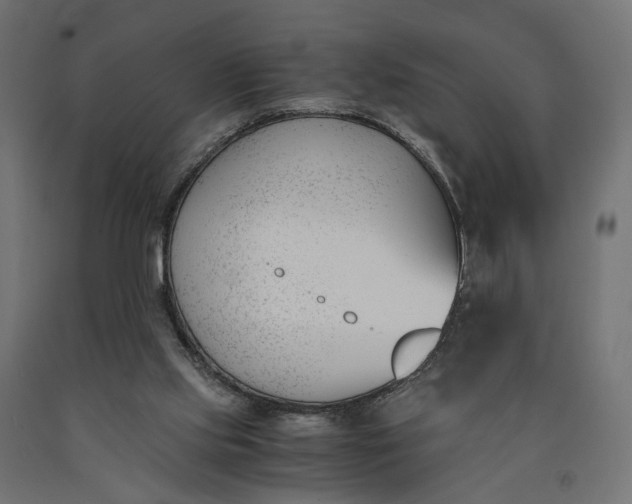 X0000090740061200708031554