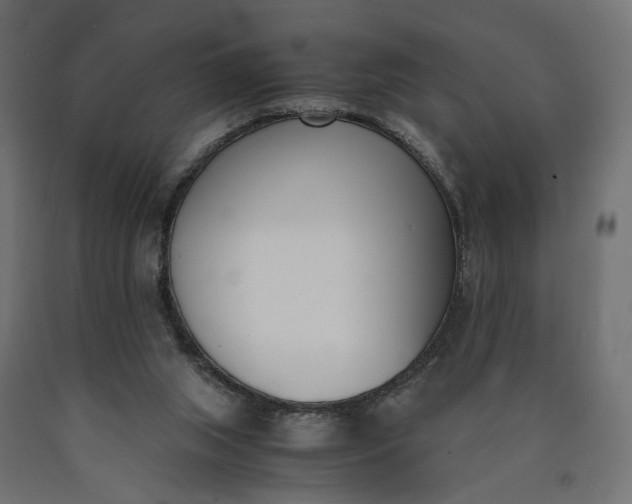 X0000090740063200708031554