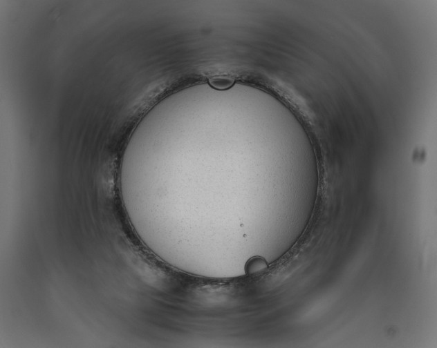 X0000090740065200708031554