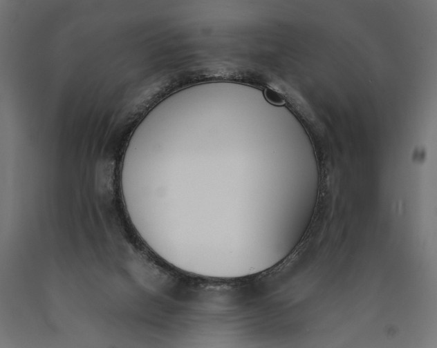 X0000090740066200708031554