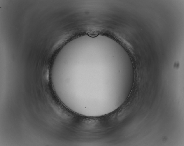 X0000090740067200708031554