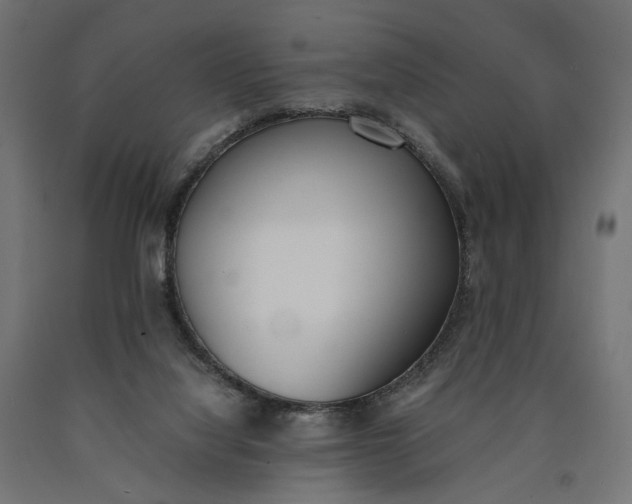 X0000090740068200708031555