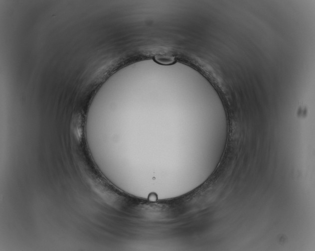 X0000090740069200708031555