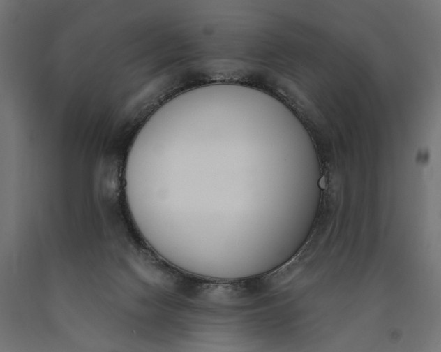 X0000090740074200708031555