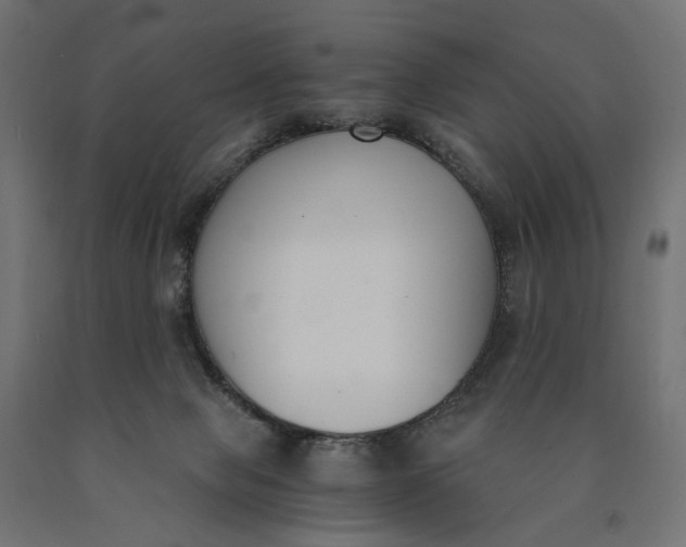 X0000090740077200708031555