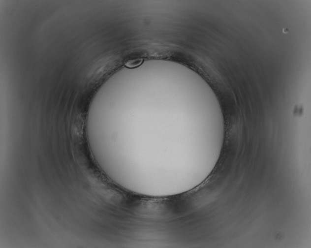 X0000090740078200708031555