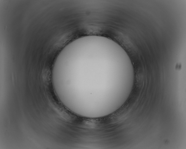 X0000090740079200708031555