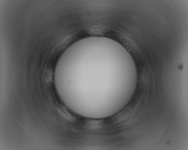 X0000090740081200708031555