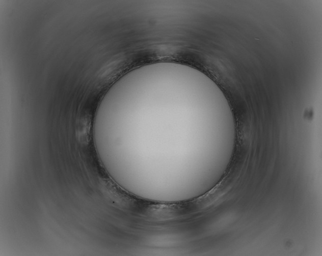 X0000090740082200708031555