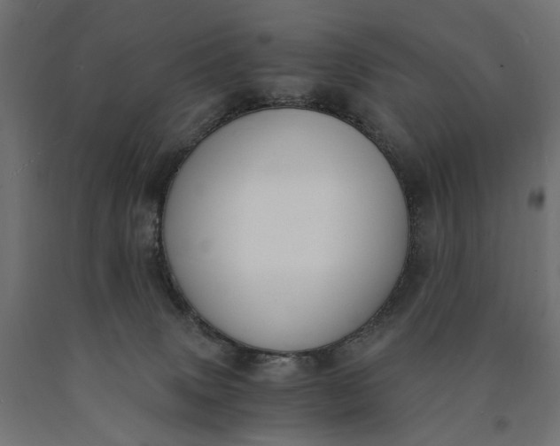 X0000090740083200708031555