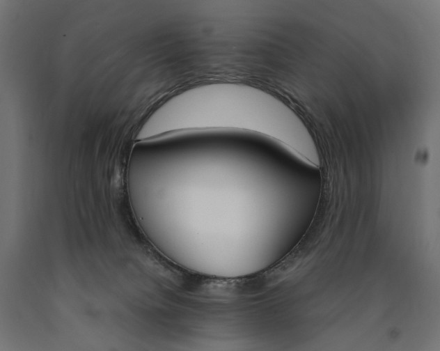 X0000090740084200708031555