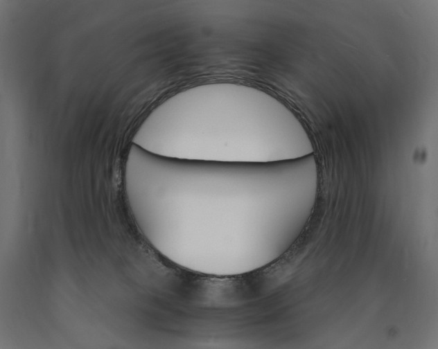 X0000090740085200708031555