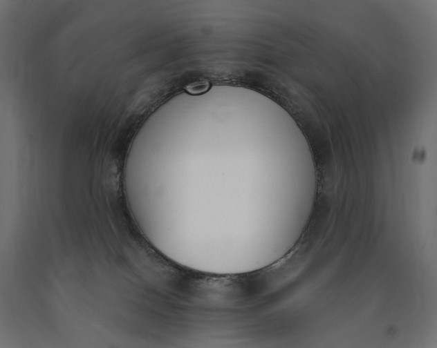 X0000090740086200708031555