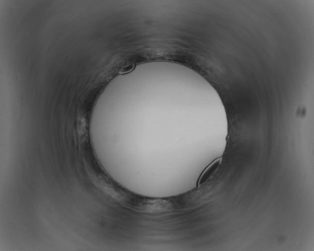 X0000090740087200708031555