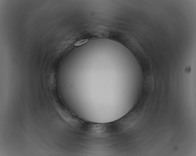 X0000090740088200708031555