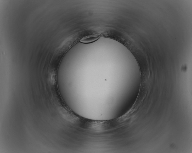 X0000090740090200708031555