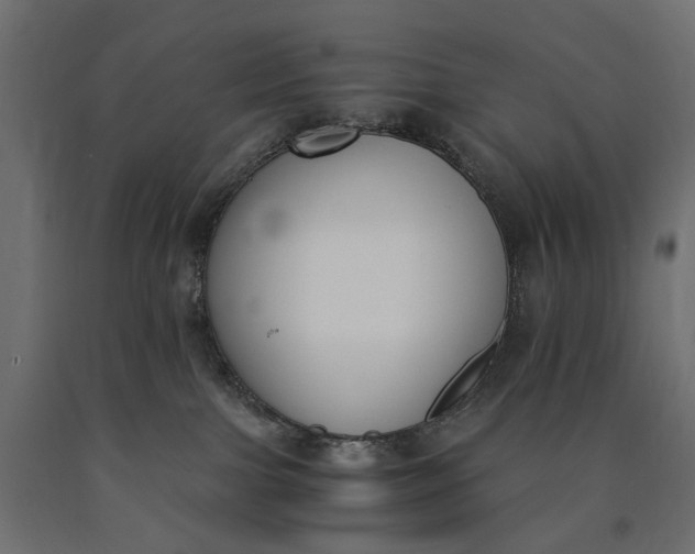 X0000090740091200708031555