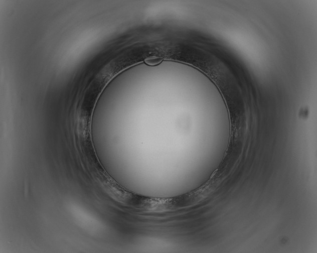 X0000090740093200708031555