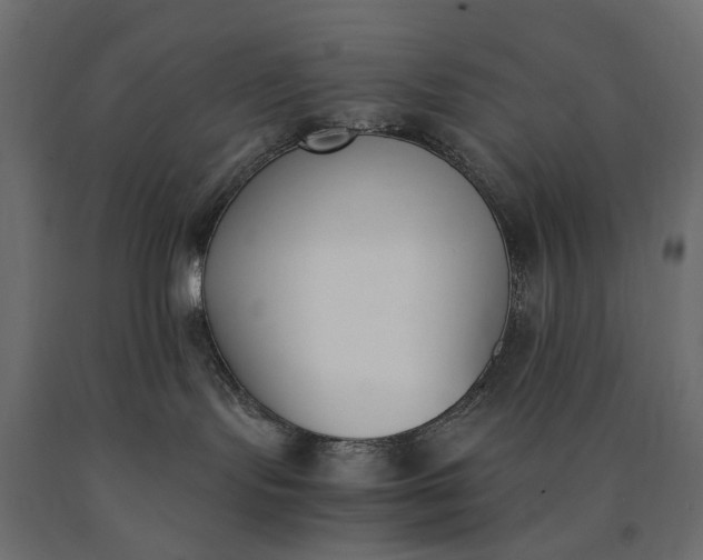 X0000090740095200708031555