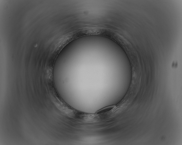 X0000090740096200708031555