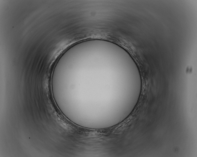 X0000090740098200708031554