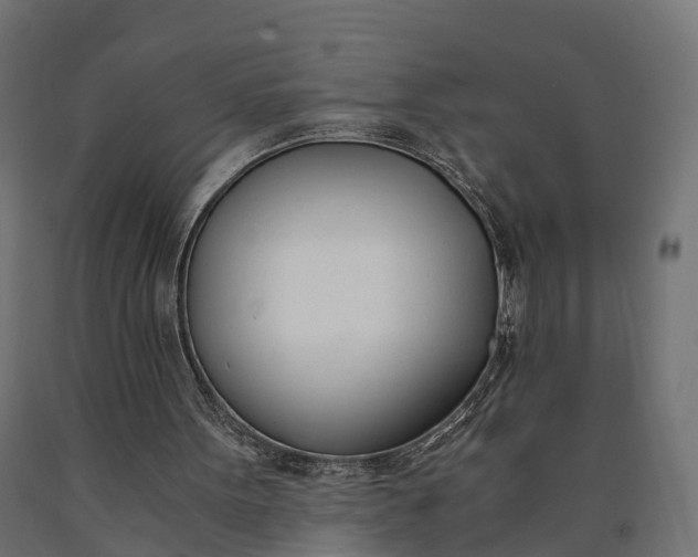 X0000090740099200708031554