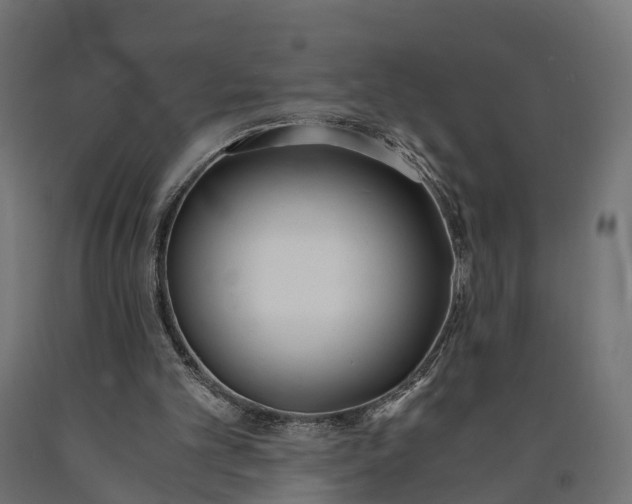 X0000090740101200708031554