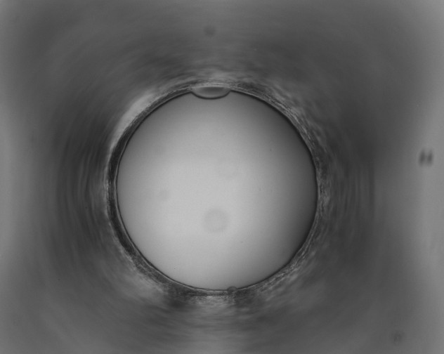 X0000090740102200708031554