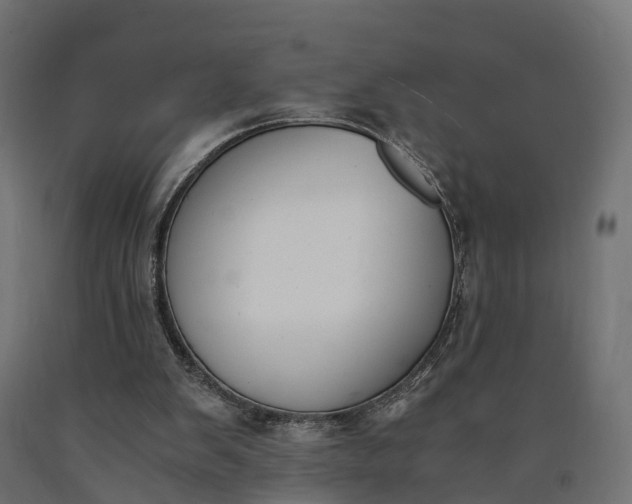 X0000090740103200708031554