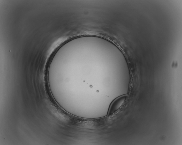 X0000090740104200708031554