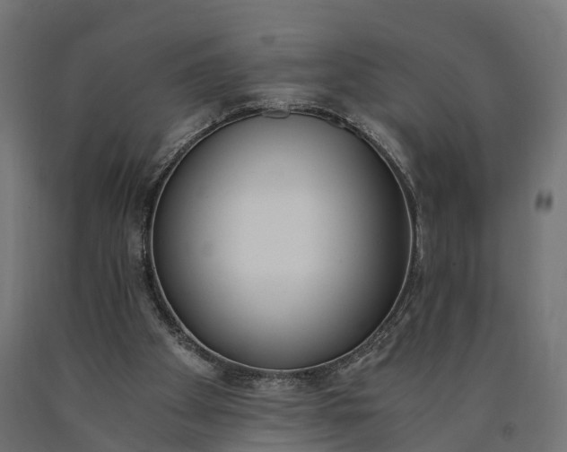 X0000090740105200708031554