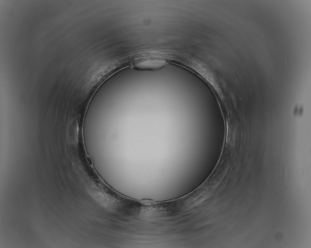 X0000090740109200708031554