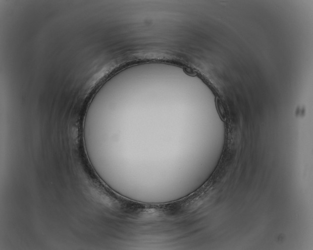 X0000090740111200708031554