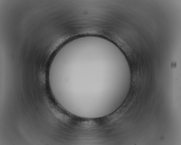 X0000090740112200708031554