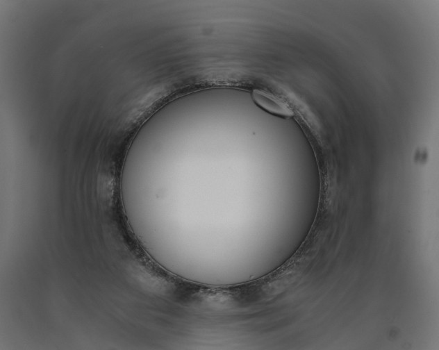 X0000090740113200708031554