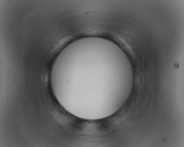 X0000090740115200708031554