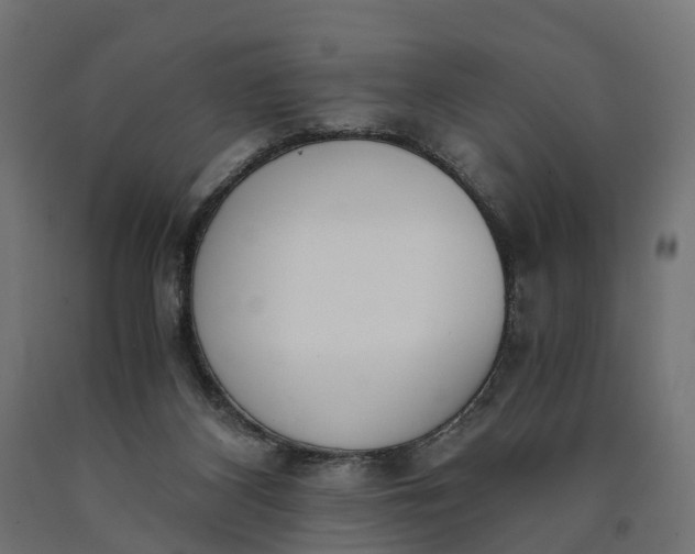 X0000090740116200708031554