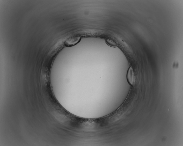 X0000090740119200708031554