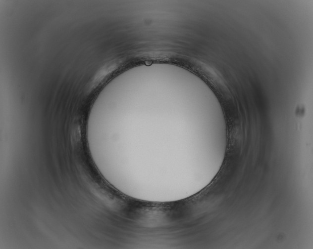 X0000090740120200708031554