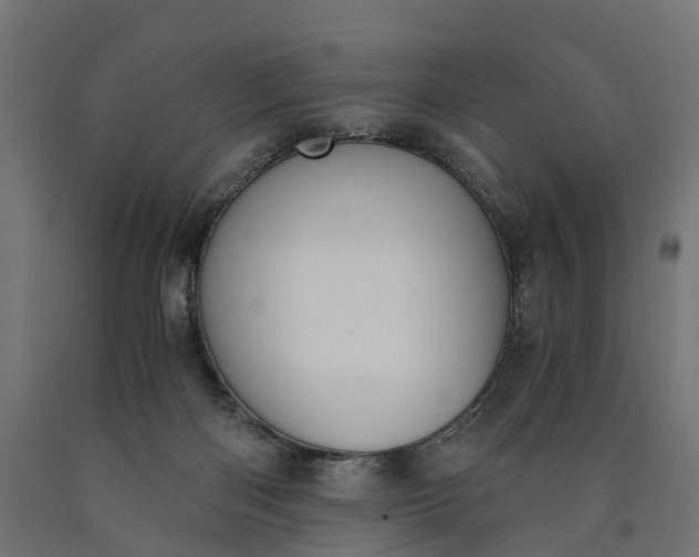 X0000090740122200708031554