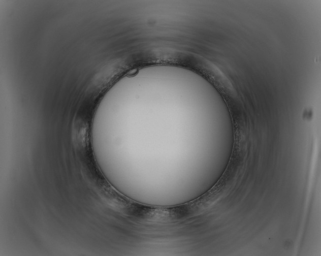 X0000090740123200708031554