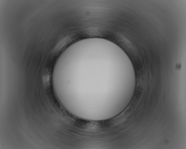 X0000090740124200708031554