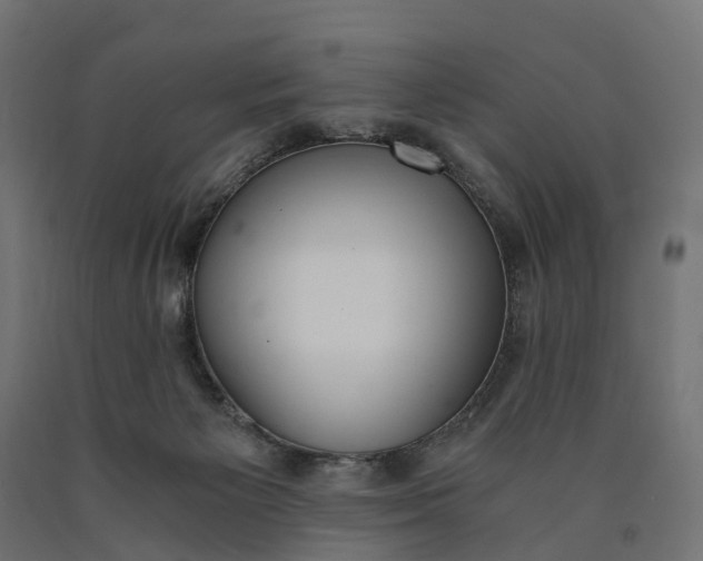 X0000090740125200708031554