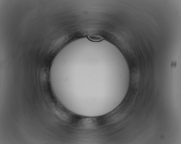 X0000090740126200708031554