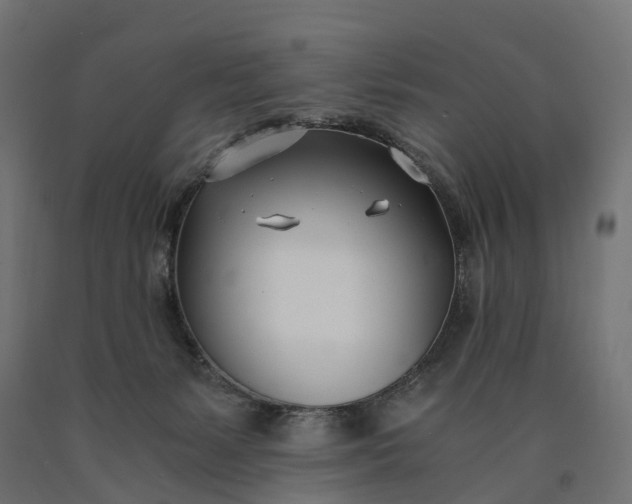 X0000090740127200708031554