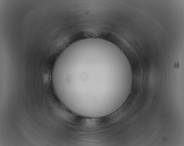 X0000090740134200708031554