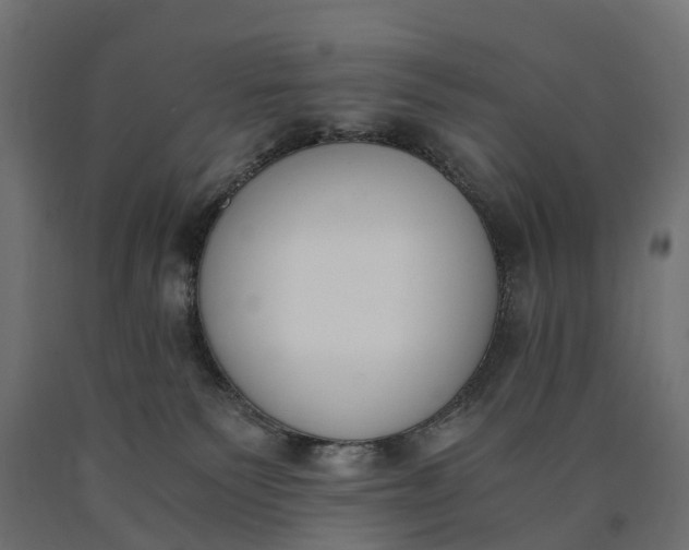 X0000090740135200708031554