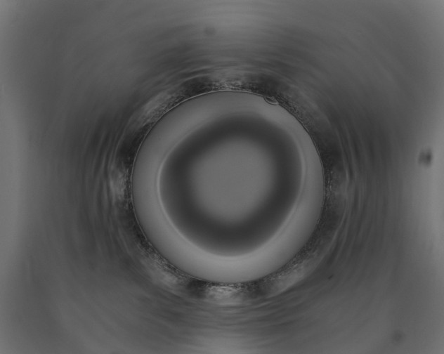 X0000090740139200708031554