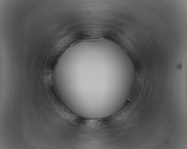 X0000090740141200708031554