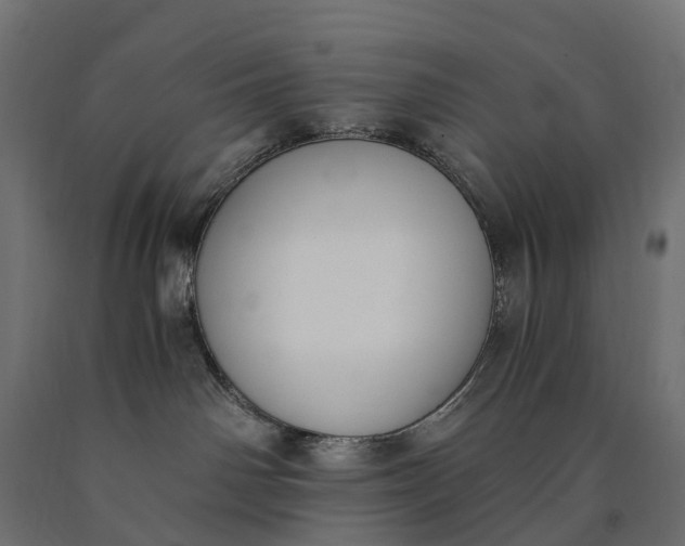 X0000090740142200708031554